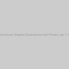 Image of Recombinant Shigella Dysenteriae hisH Protein (aa 1-196)